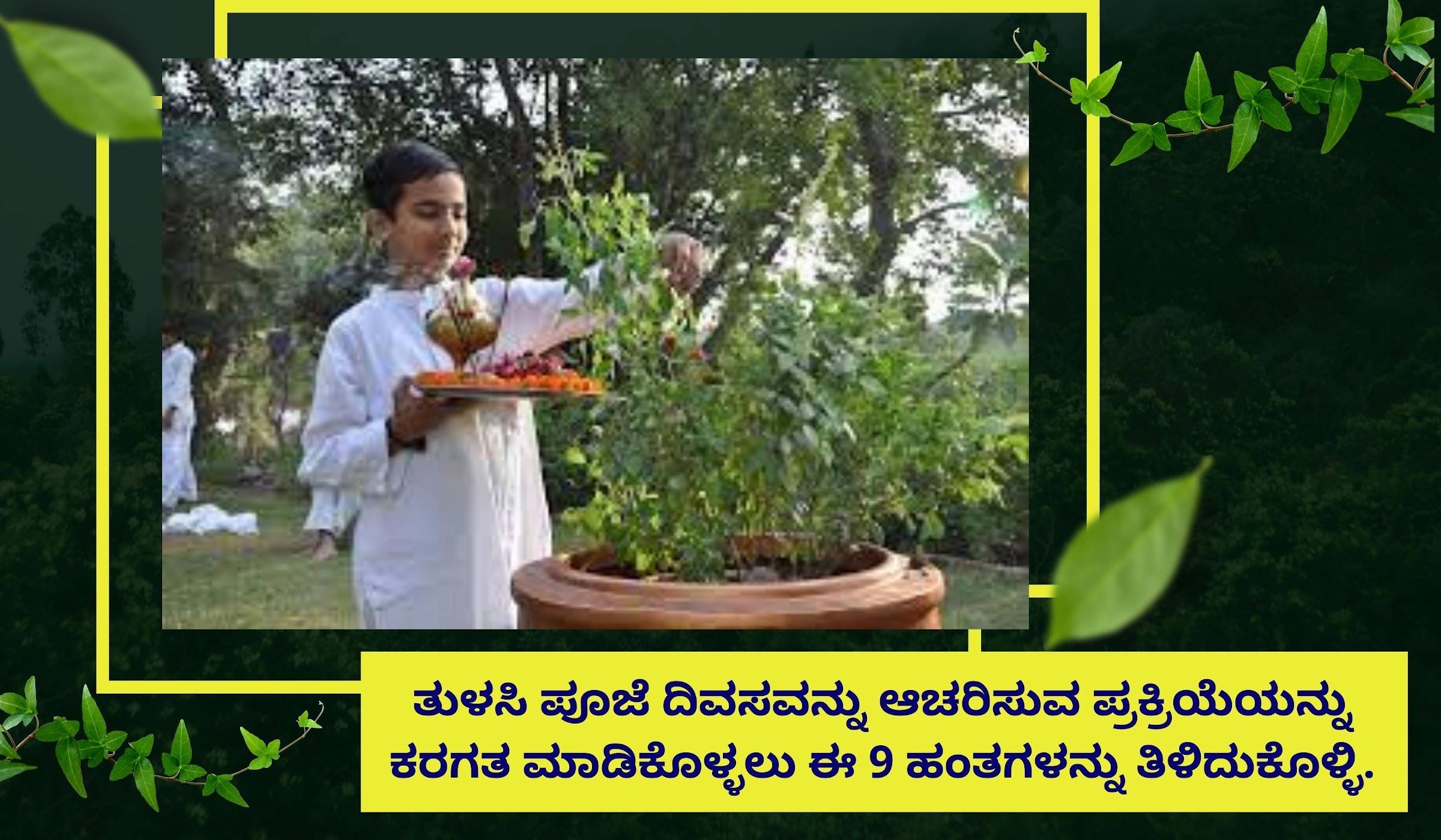 ಕೇವಲ 9 ಹಂತಗಳು ತುಳಸಿ ಪೂಜೆಯನ್ನು ಆಚರಿಸಲು.